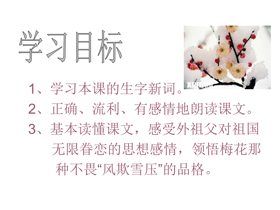 《梅花魂》课件6 (2)_第4页