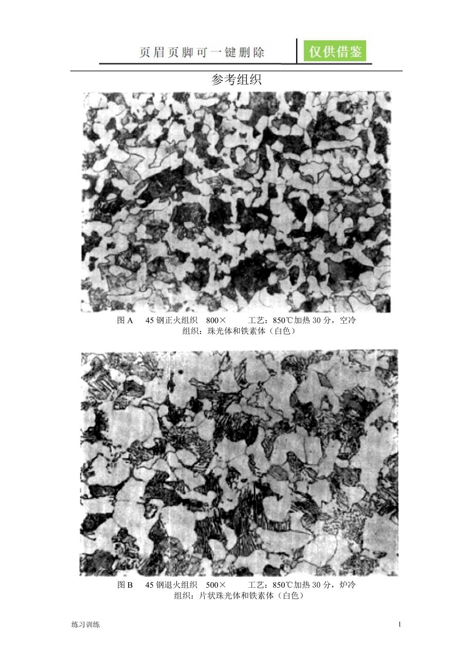 45钢金相组织参考苍松资料_第1页