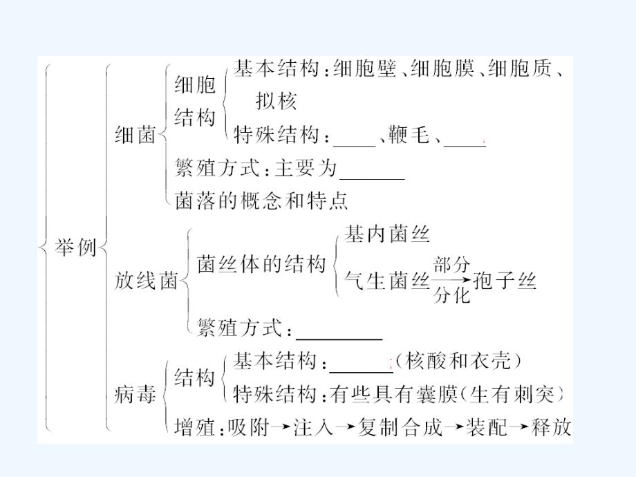 【精品】2011届高考生物第一轮复习经典学案 2-10 微生物的类群和营养课件_第4页