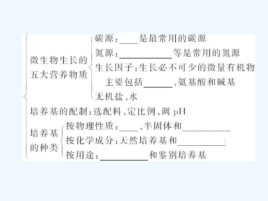 【精品】2011届高考生物第一轮复习经典学案 2-10 微生物的类群和营养课件_第5页