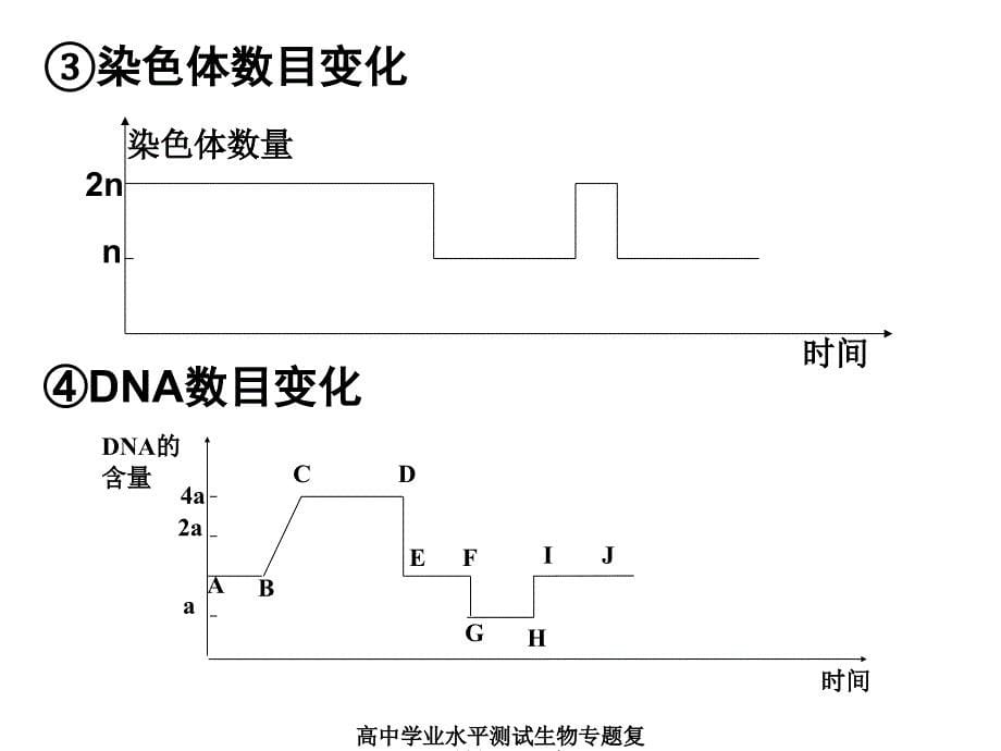 高中学业水平测试生物专题复习最新课件_第5页