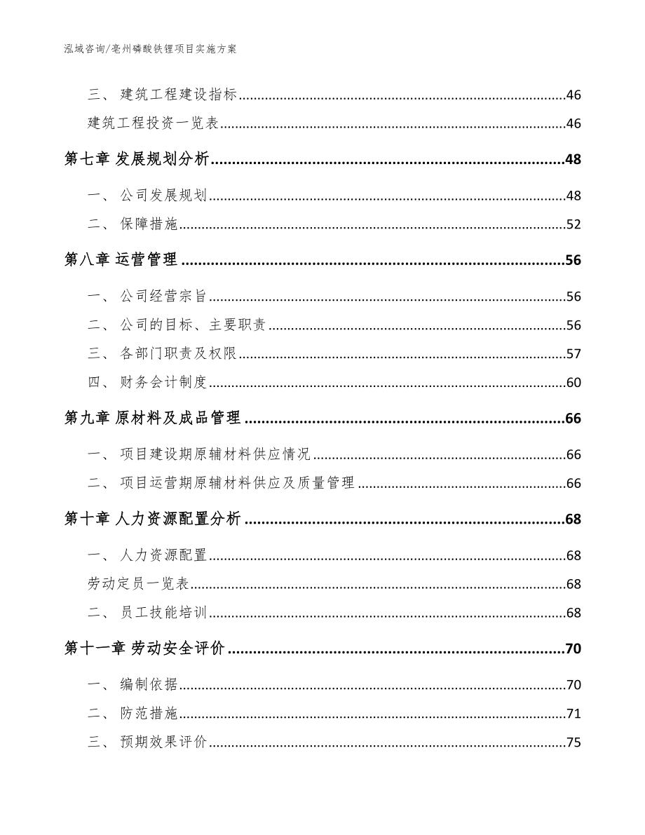 亳州磷酸铁锂项目实施方案【模板】_第3页