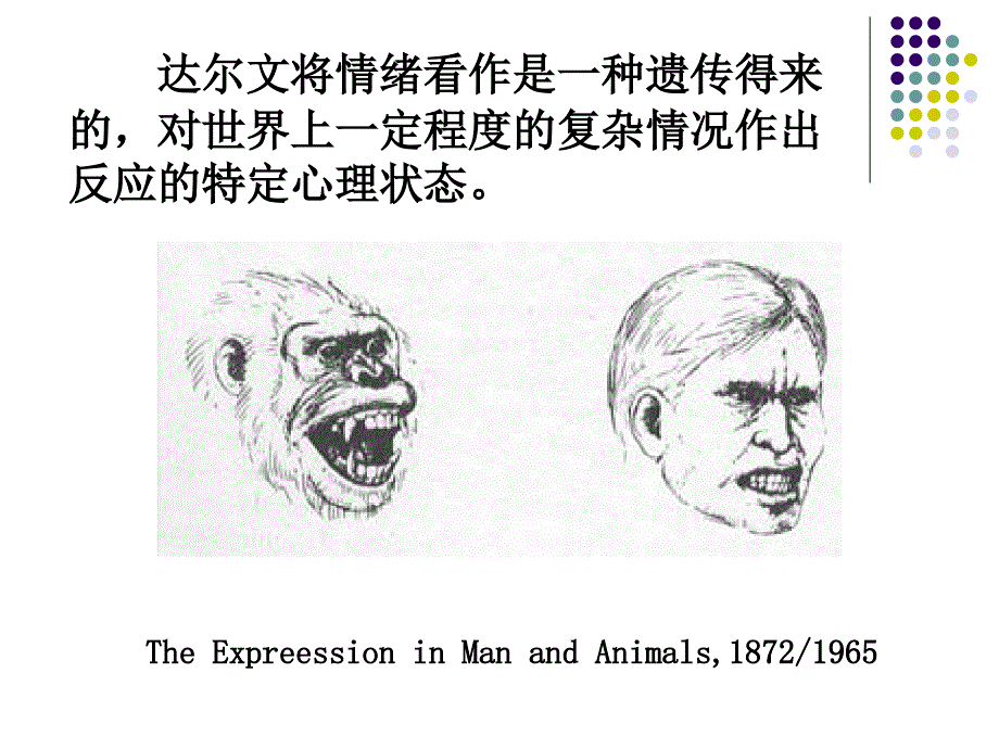 情绪的脑机制_第3页