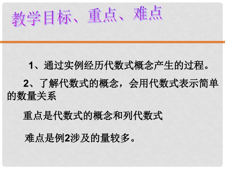 浙江省宁波市象山县新桥镇东溪村七年级数学上册 4.2 代数式课件 （新版）浙教版_第2页