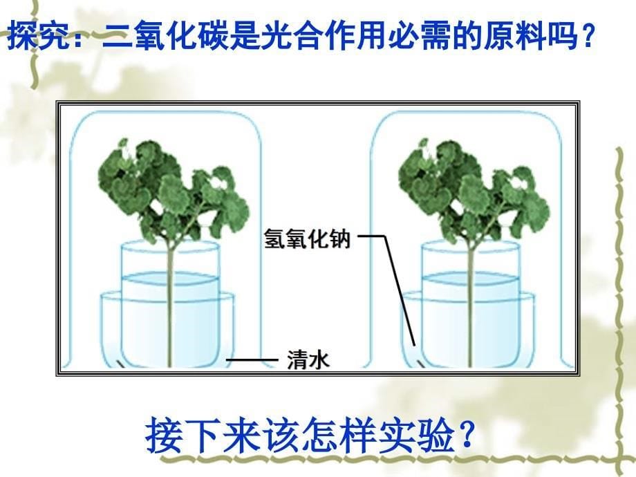 二氧化碳氧气的释放_第5页