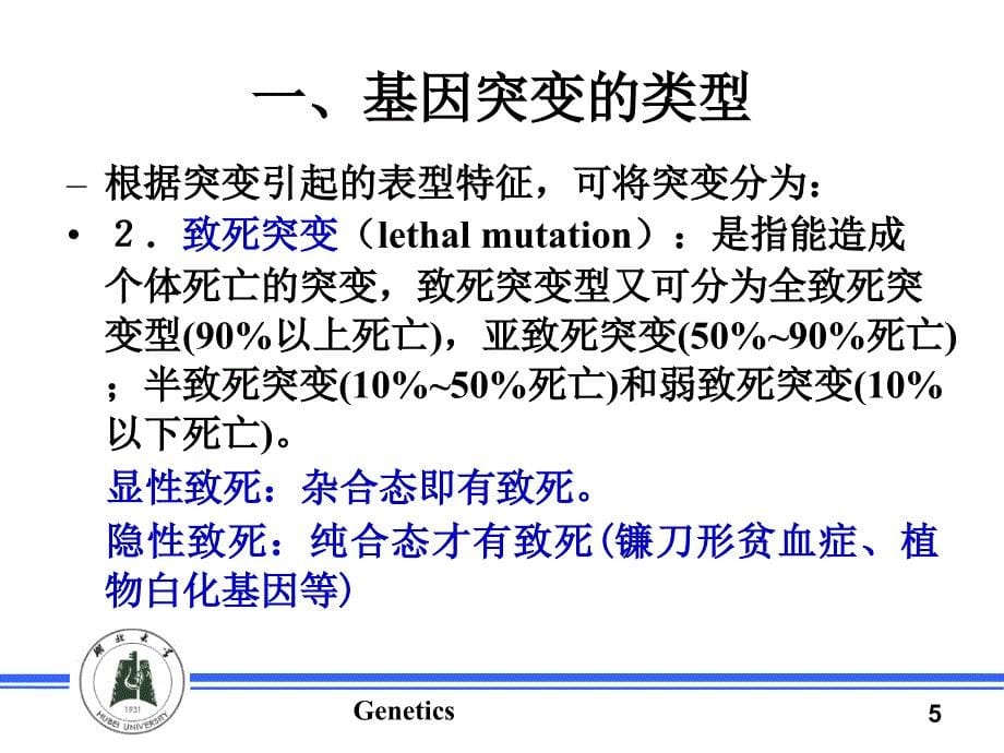 第10章遗传物质的改变（二）基因突变_第5页