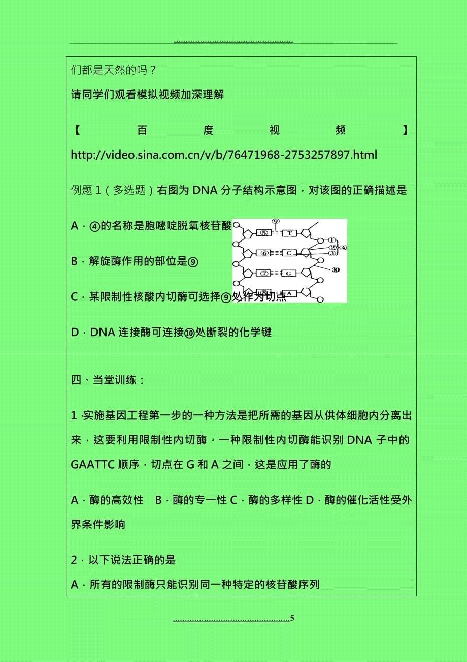 DNA重组技术的基本工具-刘海超_第5页