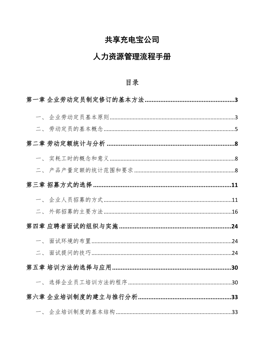 共享充电宝公司人力资源管理流程手册_第1页