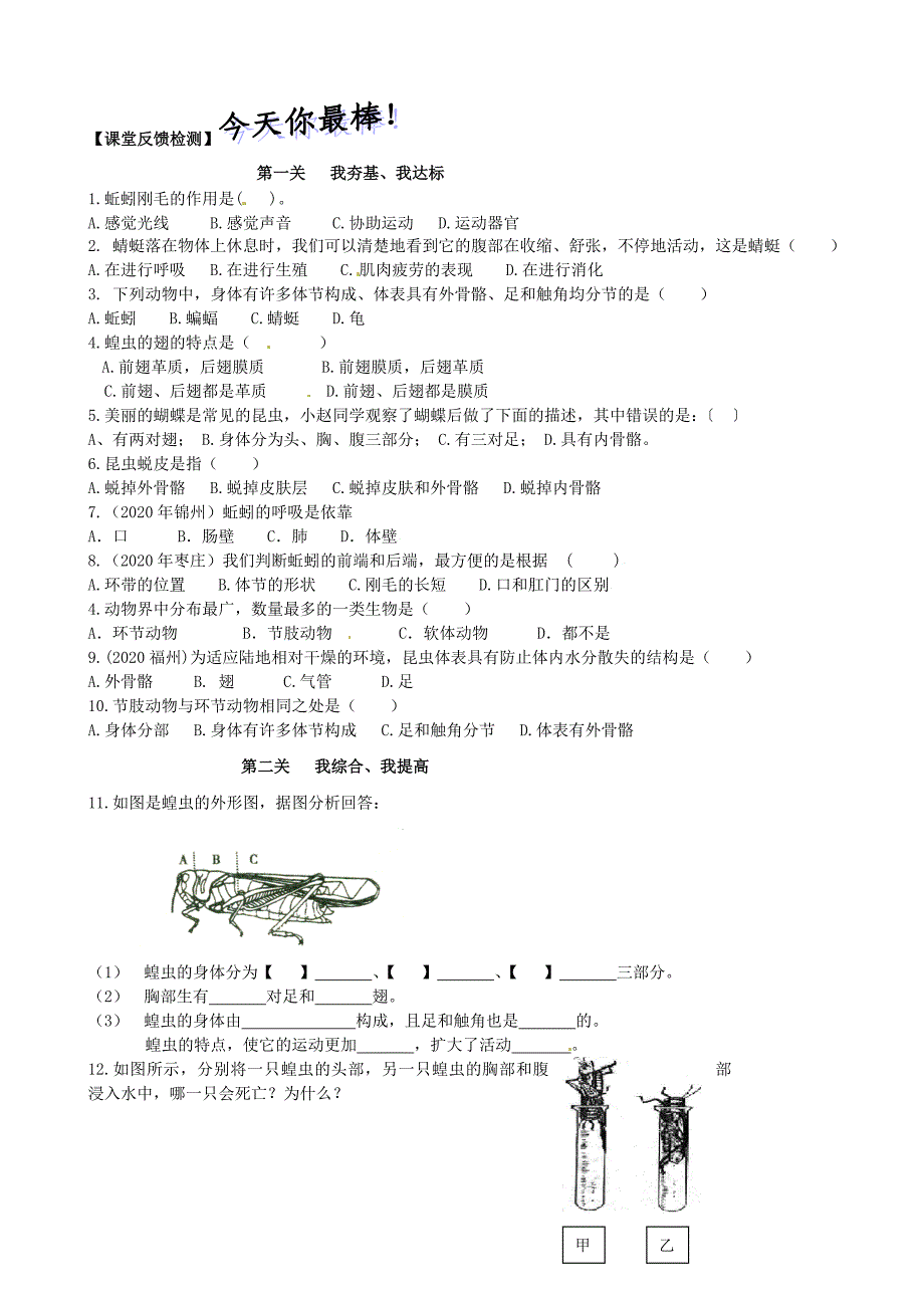 山东省高密市银鹰文昌中学七年级生物上册第一节动物的主要类群环节动物和节肢动物学案无答案_第3页