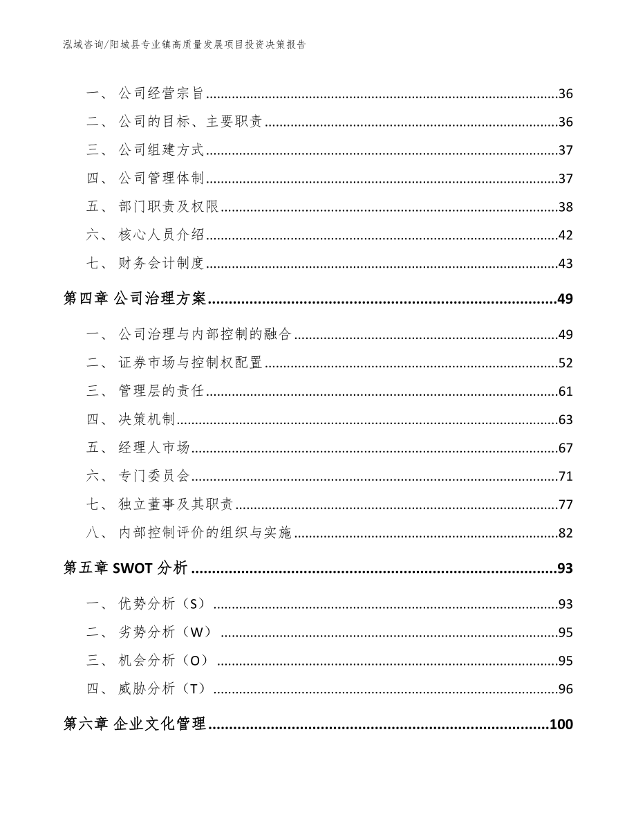 阳城县专业镇高质量发展项目投资决策报告（模板）_第2页