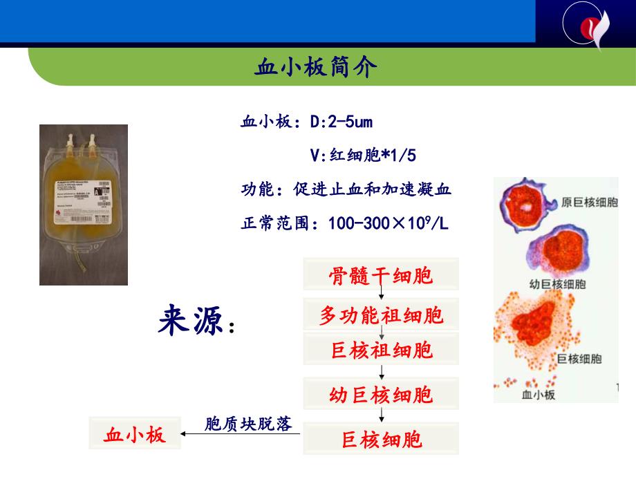 血小板抗原抗体检测及其输血科应用PPT课件_第3页