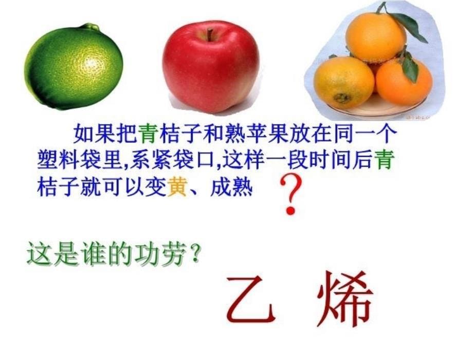 人教版化学必修二32来自石油和煤的两种基本化工原料课件共40张PPT_第5页