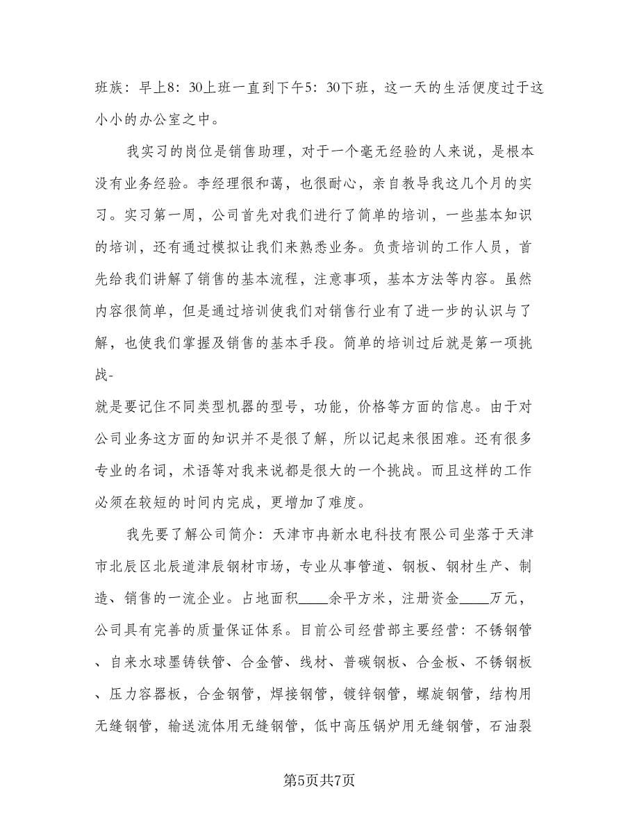 2023销售岗位实习总结（二篇）.doc_第5页