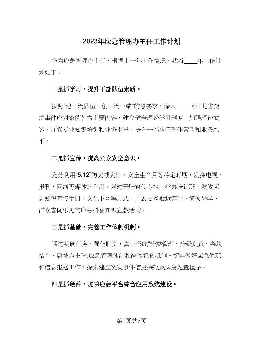 2023年应急管理办主任工作计划（三篇）.doc_第1页