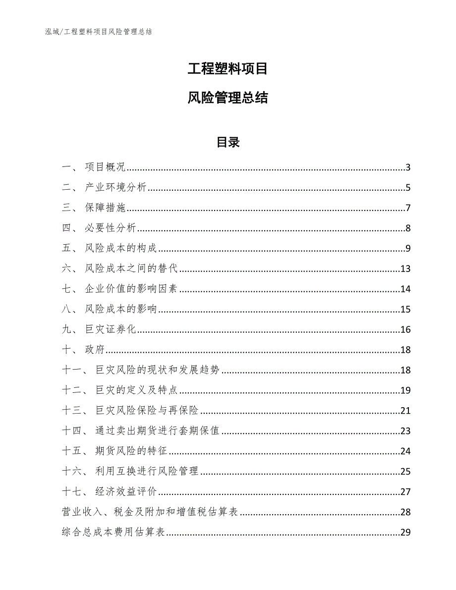 工程塑料项目风险管理总结_第1页