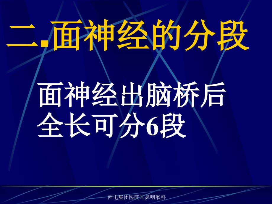 面神经解剖18749_第4页