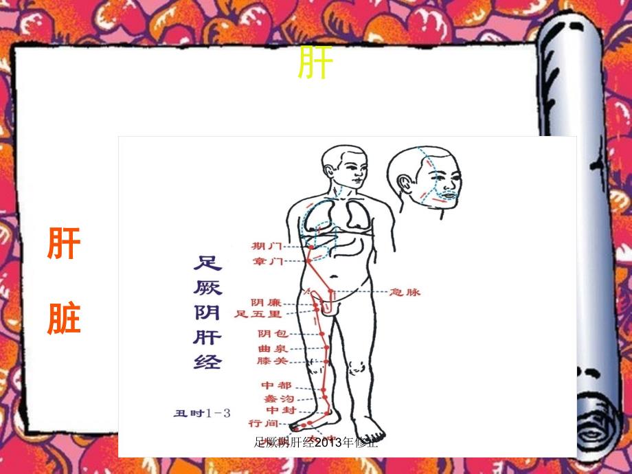 足厥阴肝经修正课件_第2页