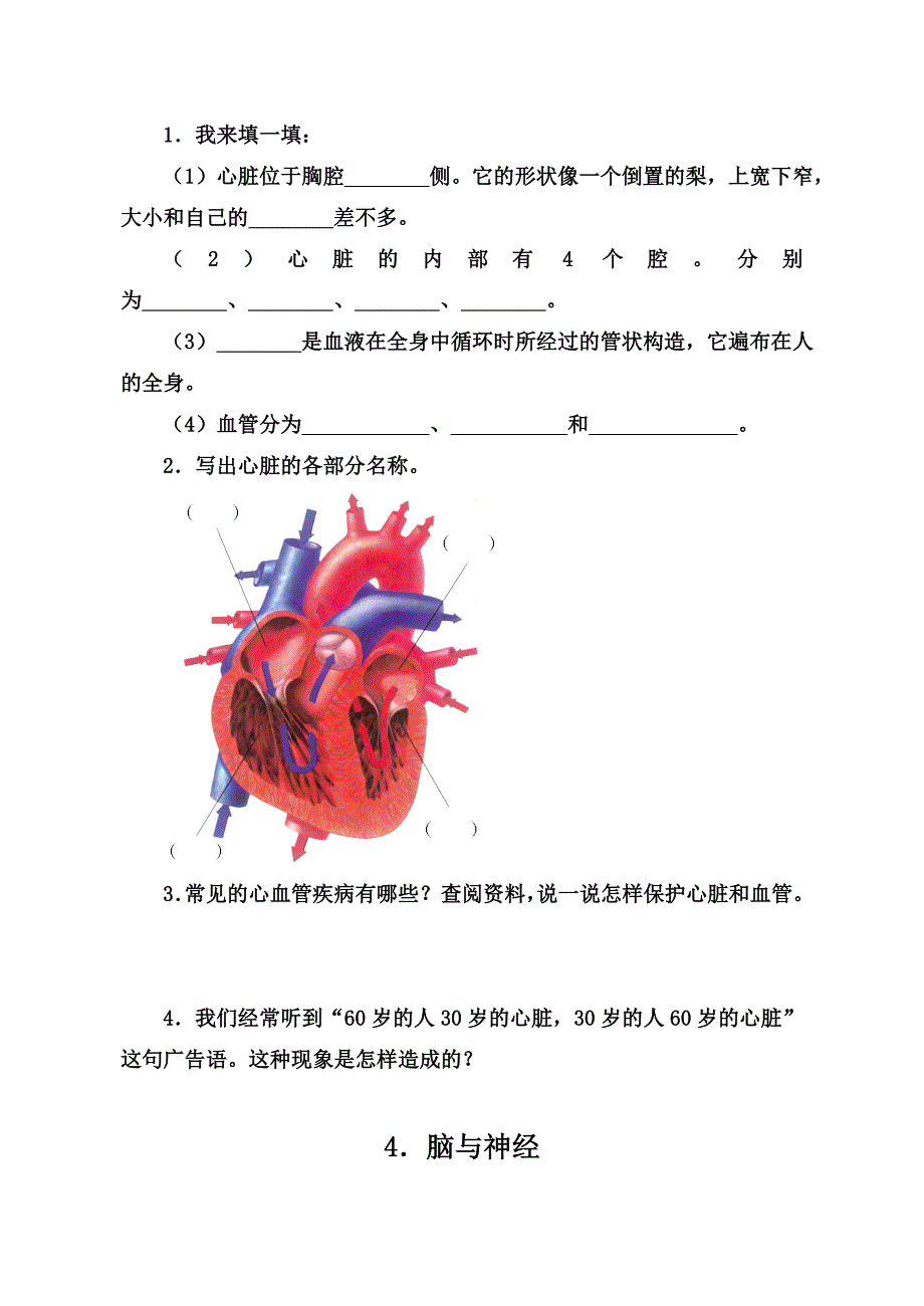 五下科学试题.doc_第3页