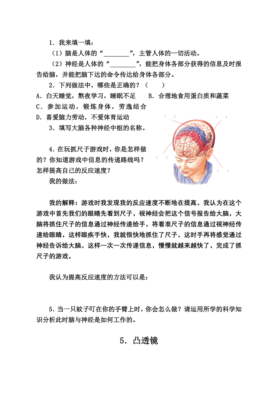 五下科学试题.doc_第4页