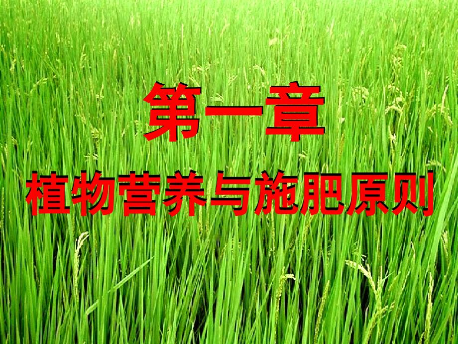 植物营养学.PPT课件_第1页