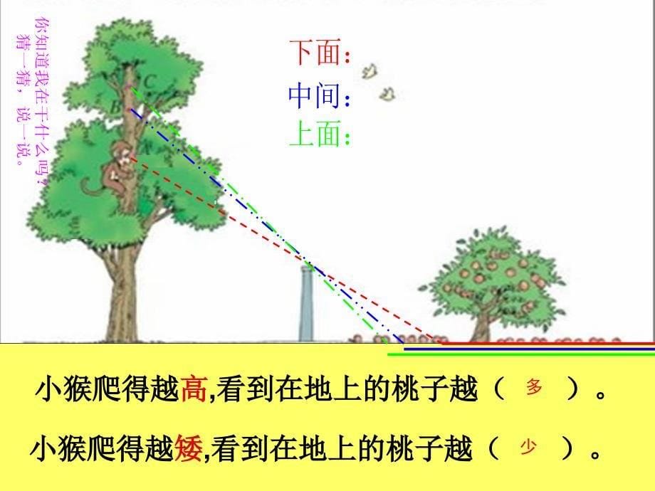 北师大版数学六年级上册《观察的范围》课件_第5页