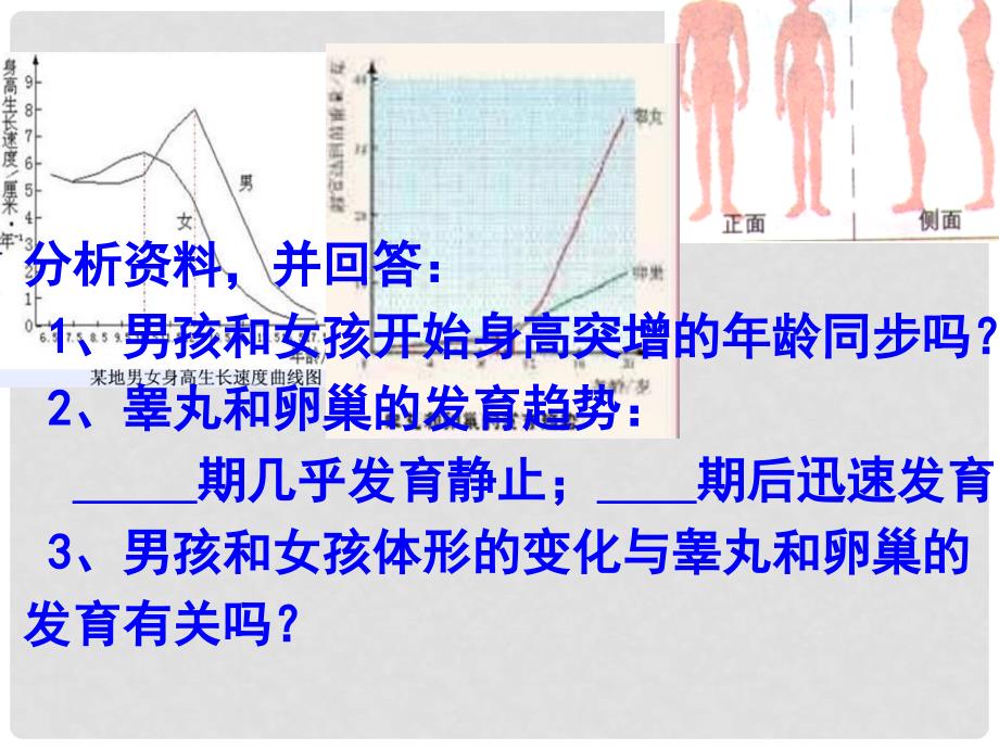 吉林省长市七年级生物下册 4.1.3青期课件1 （新版）新人教版_第2页