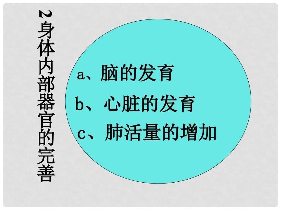 吉林省长市七年级生物下册 4.1.3青期课件1 （新版）新人教版_第5页