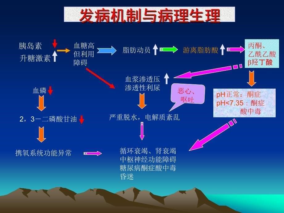 糖尿病酮症酸中毒详解.ppt_第5页