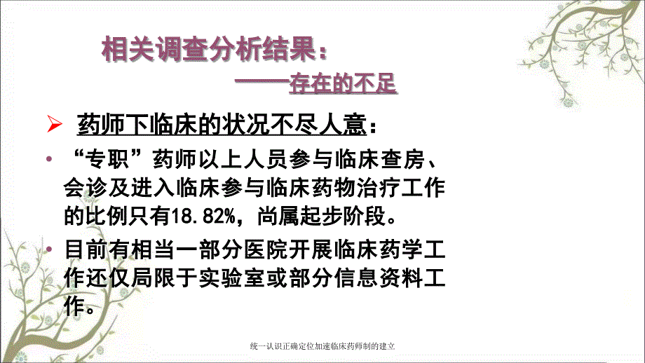 统一认识正确定位加速临床药师制的建立课件_第4页