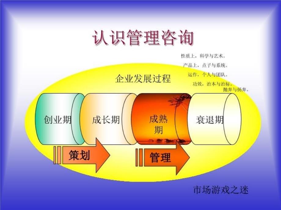 最新千咨询顾问课程ppt课件_第3页