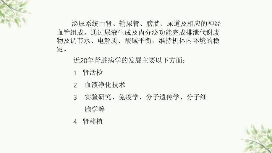 泌尿系统疾病内科学教学ppt课件_第5页