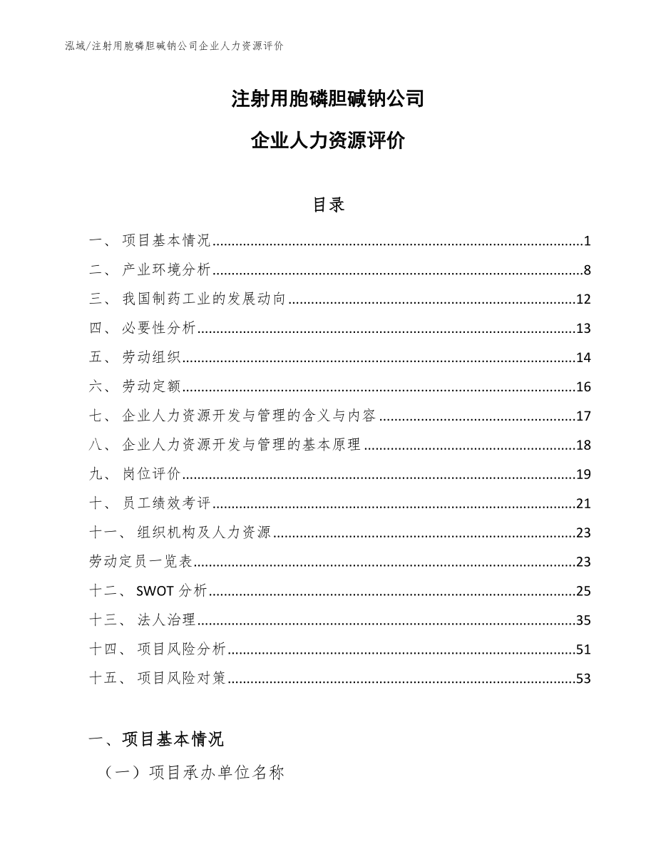 注射用胞磷胆碱钠公司企业人力资源评价_第1页