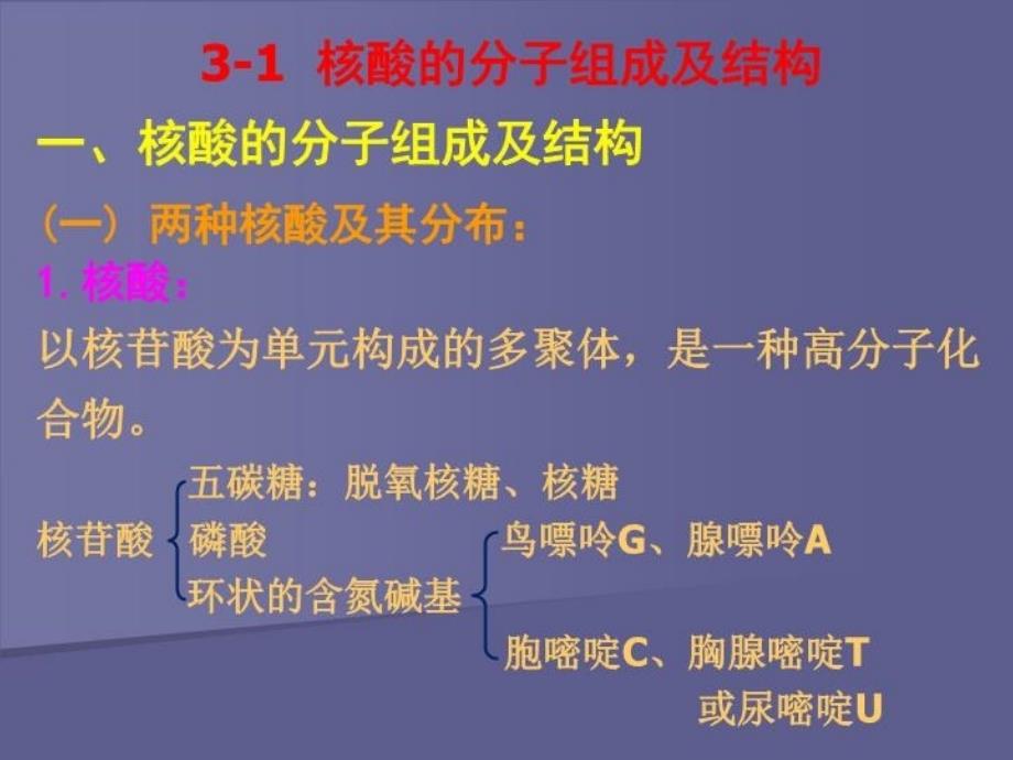 最新单元三遗传物质的分子基础精品课件_第4页