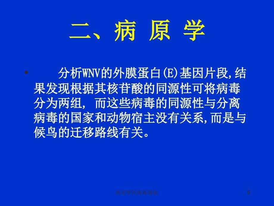 西尼罗河病毒感染课件_第5页