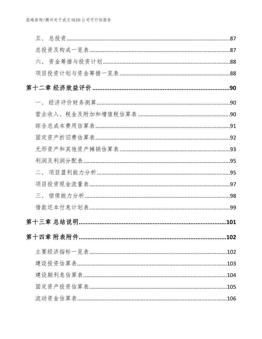 潮州关于成立OLED公司可行性报告【模板】_第5页