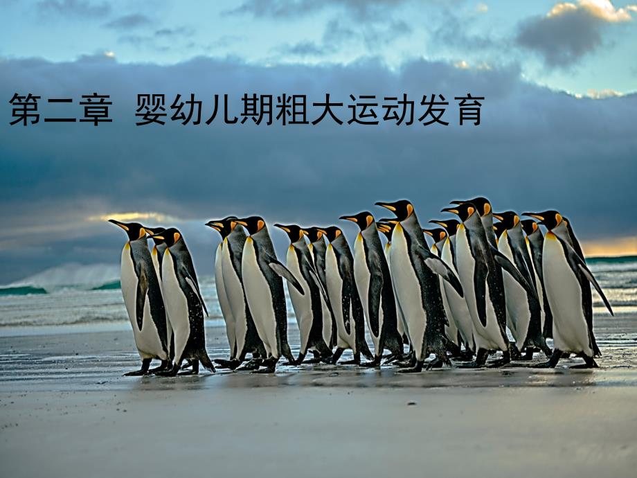 粗大运动的发育_第1页