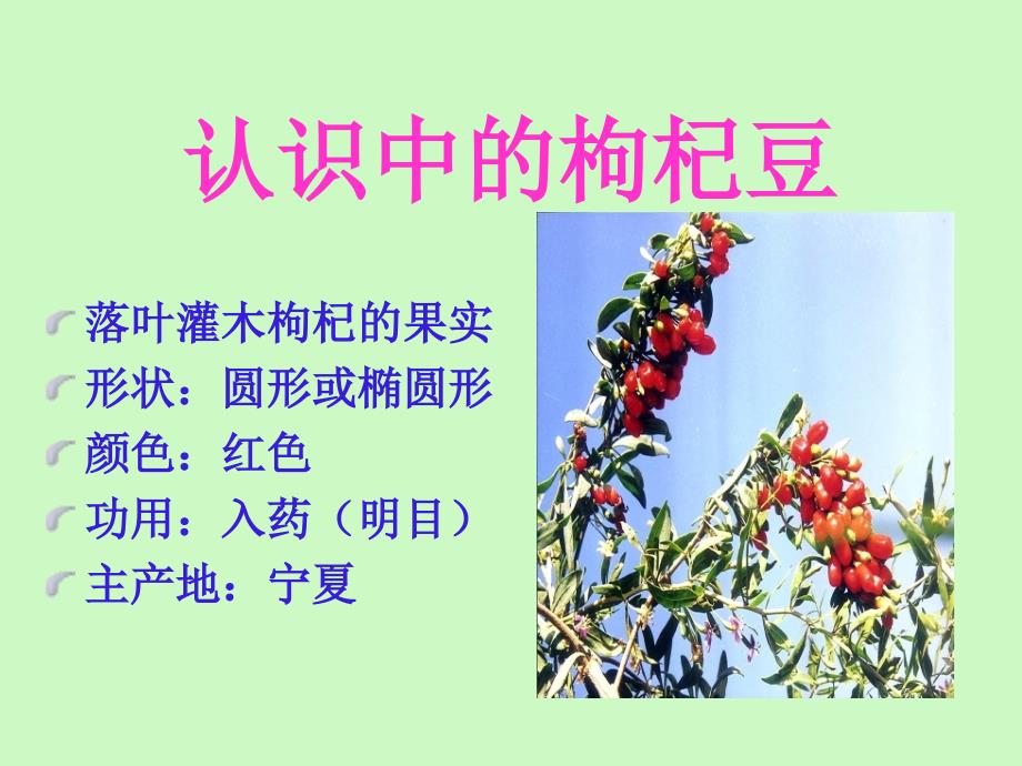 《三颗枸杞豆一》PPT课件.ppt_第2页