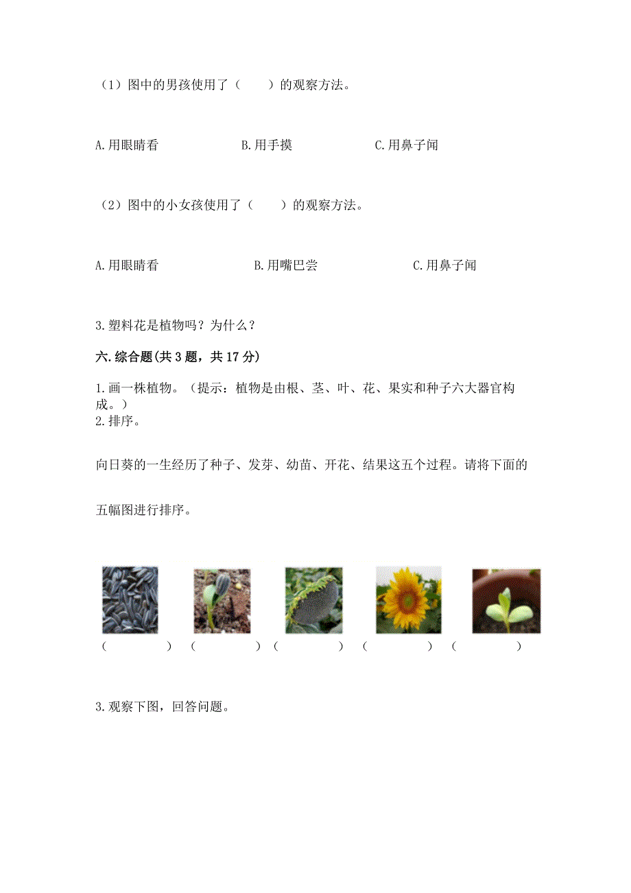 教科版科学一年级上册第一单元《植物》测试卷含下载答案.docx_第4页