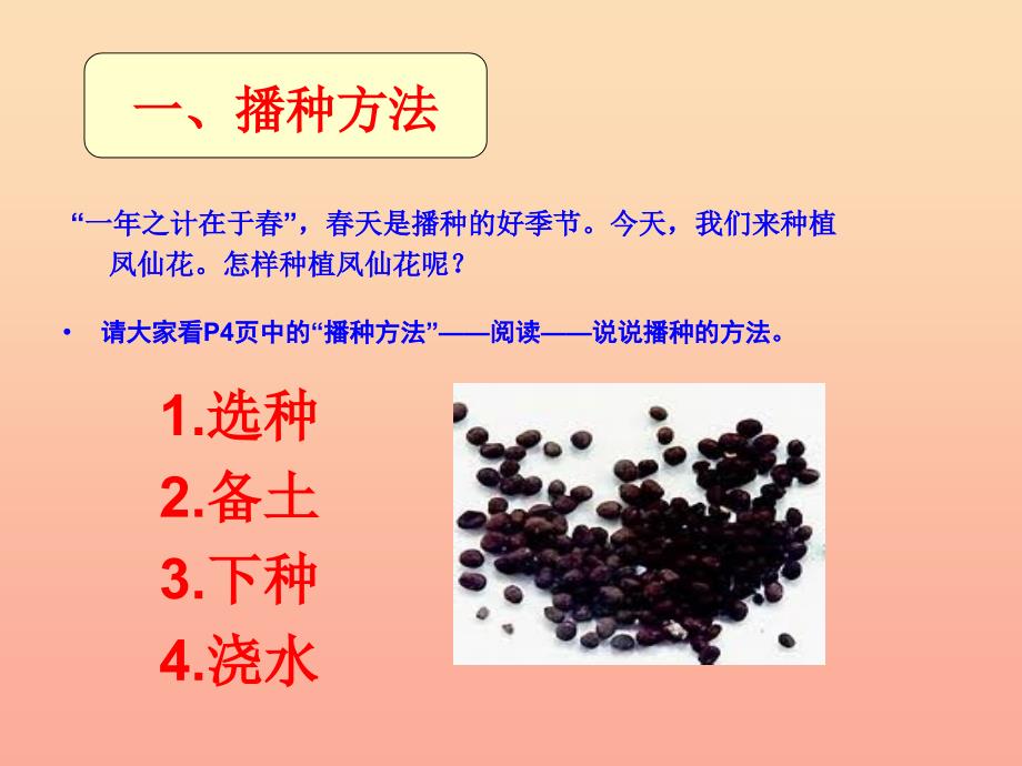 三年级科学下册 植物的生长变化 2 种植我们的植物课件6 教科版_第2页