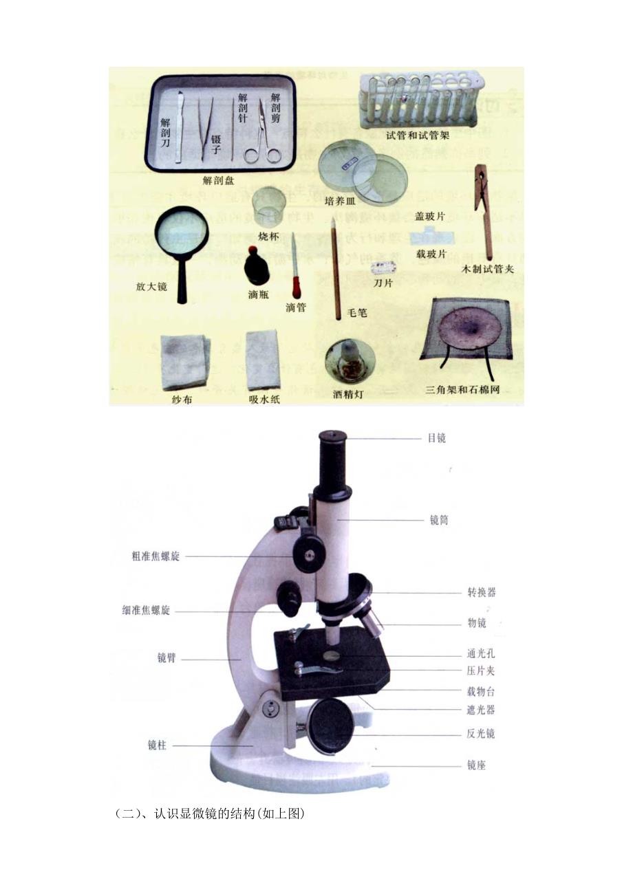 第1单元　第五节科学探究的基本方法.doc_第2页