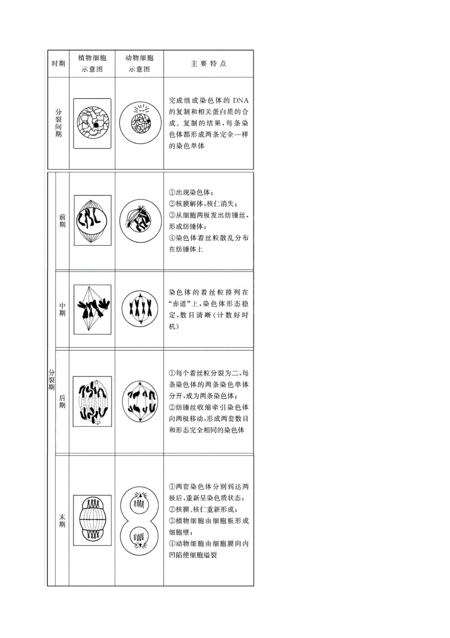 生物必修一第六章第一节细胞的增殖知识总结_第2页