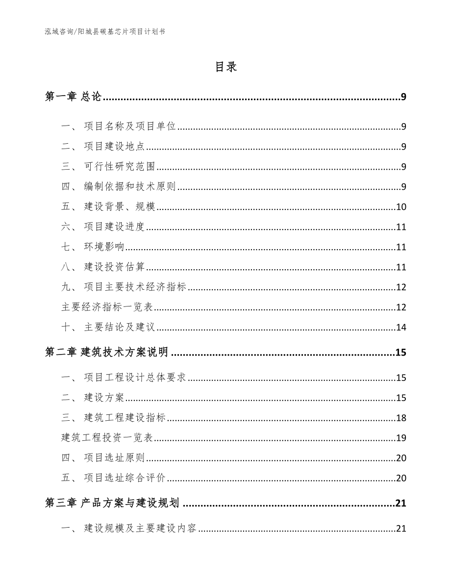 阳城县碳基芯片项目计划书（参考范文）_第2页