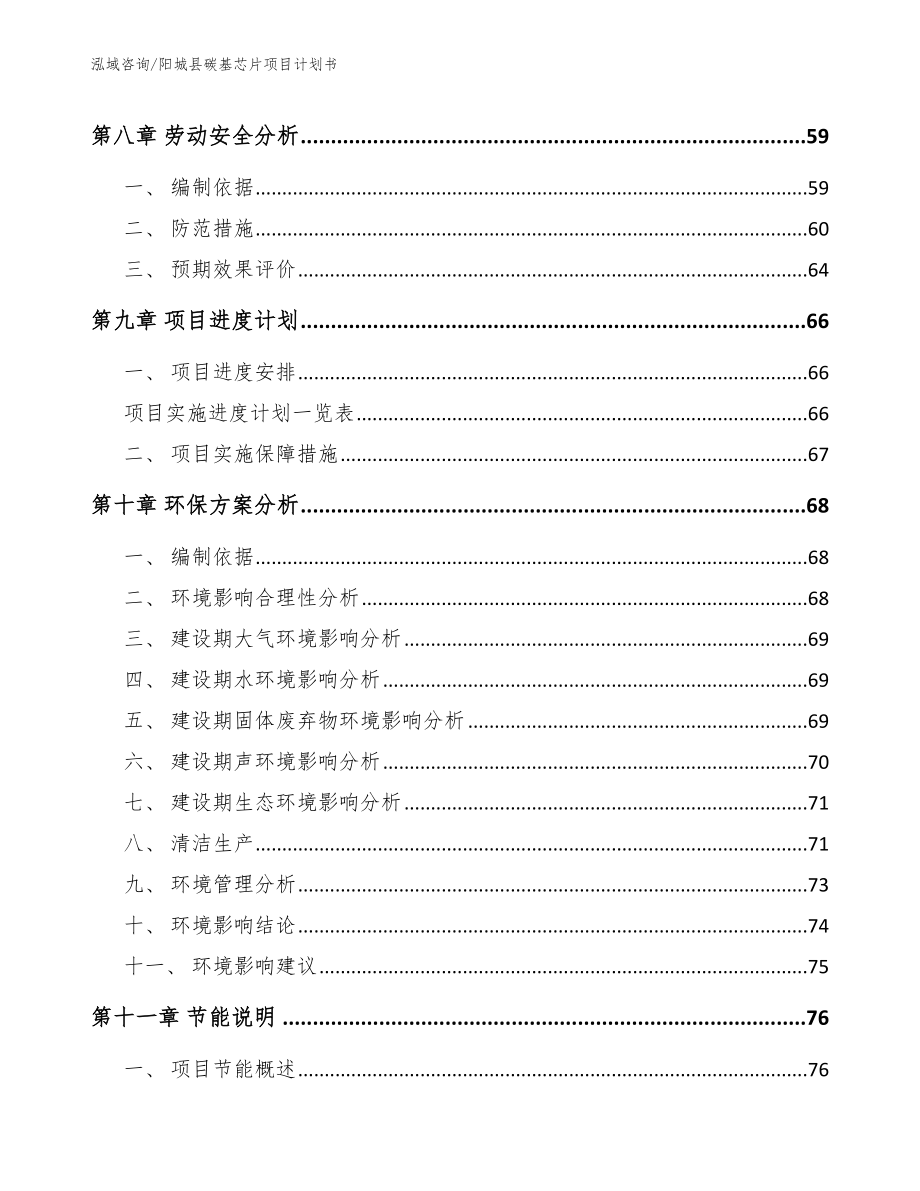 阳城县碳基芯片项目计划书（参考范文）_第4页