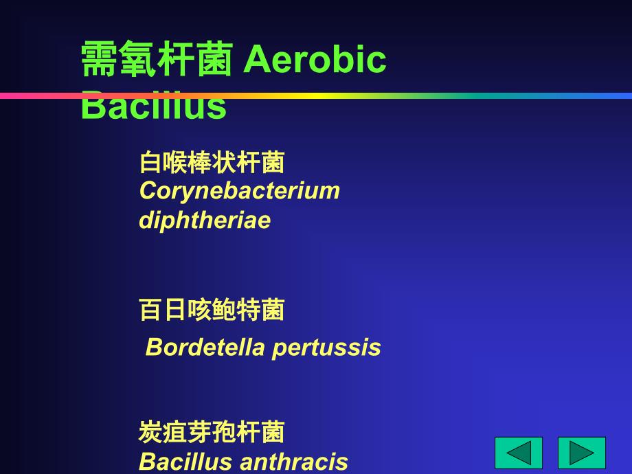 医学微生物鲁凤民17x17需氧杆菌_第2页