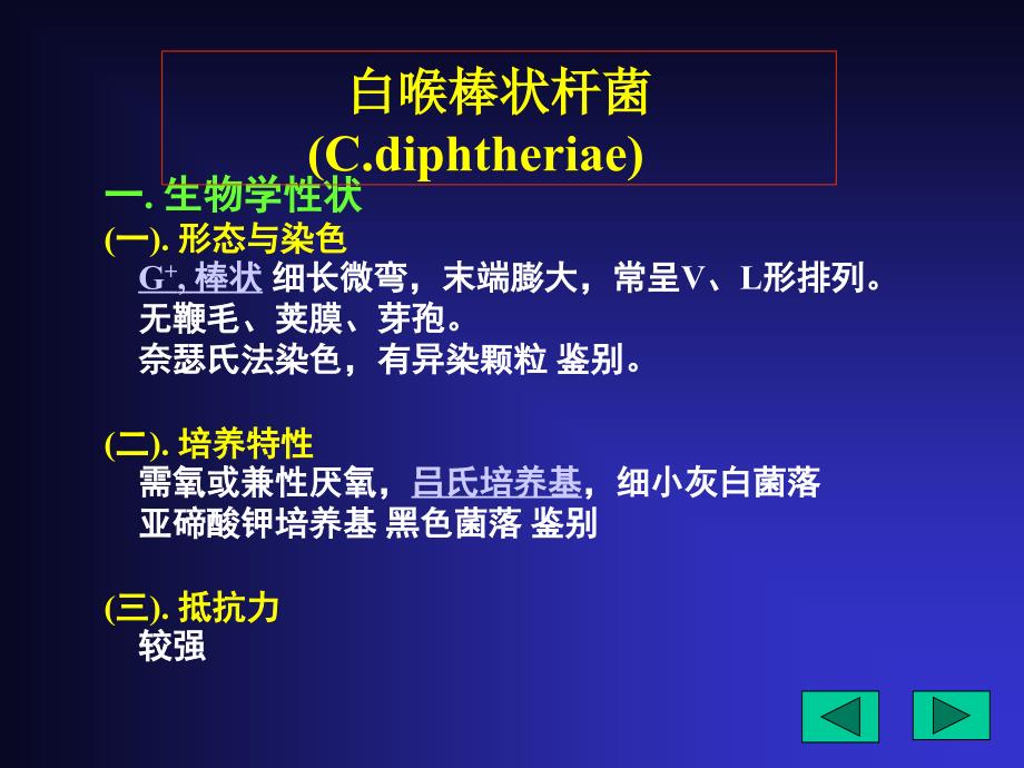 医学微生物鲁凤民17x17需氧杆菌_第3页