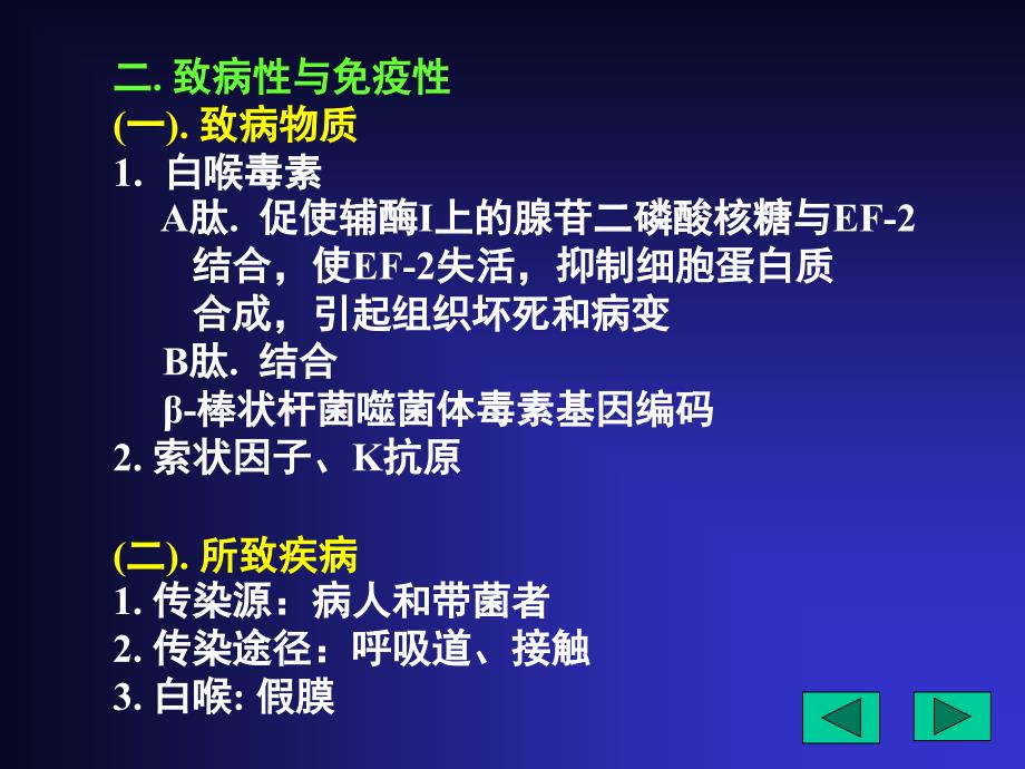 医学微生物鲁凤民17x17需氧杆菌_第4页