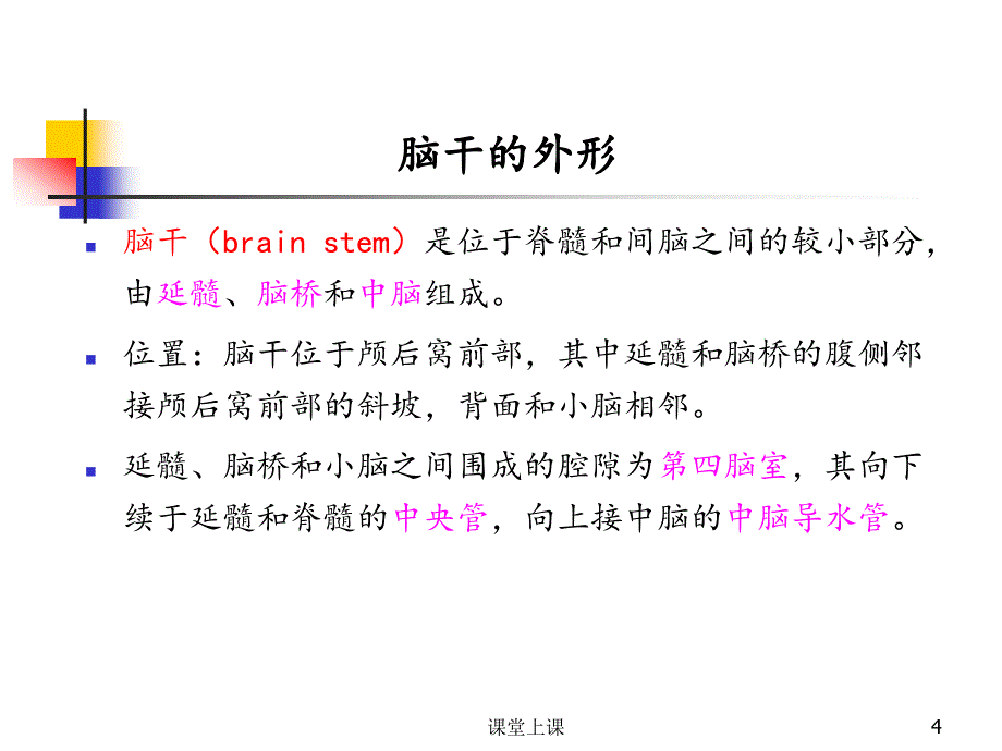 脑干的解剖及临床综合征（行业经验）_第4页