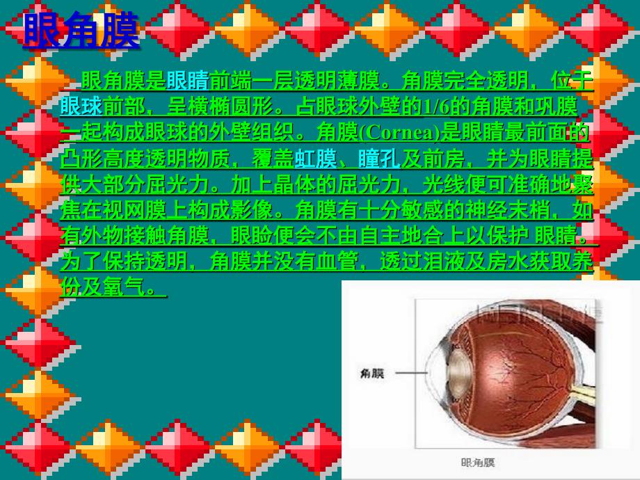 永生的眼睛(完美版)_第2页