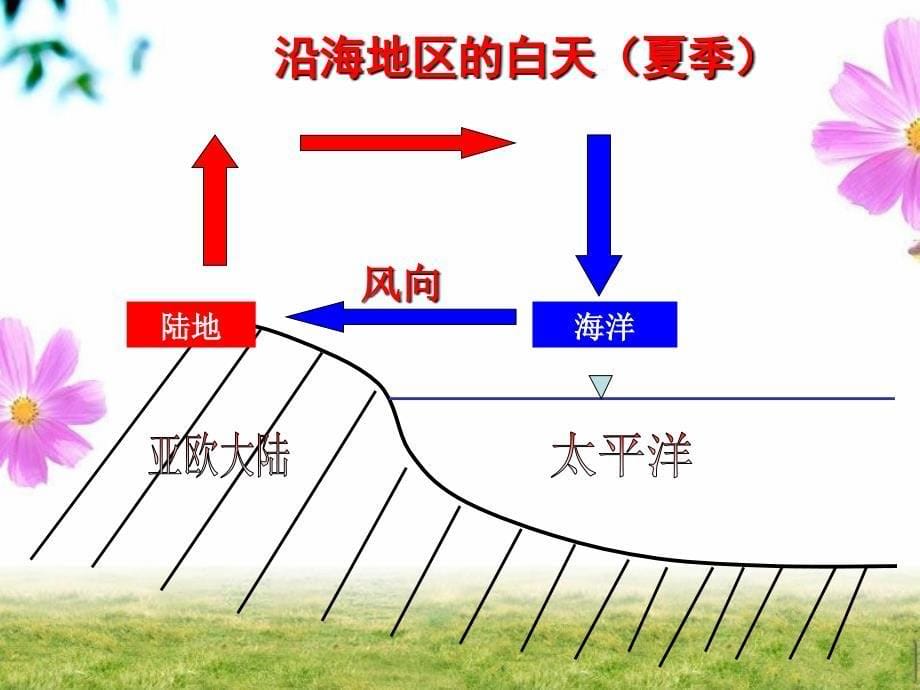 《2　风拂面课件》小学科学大象社2001课标版《科学》5年级下课件54277_第5页