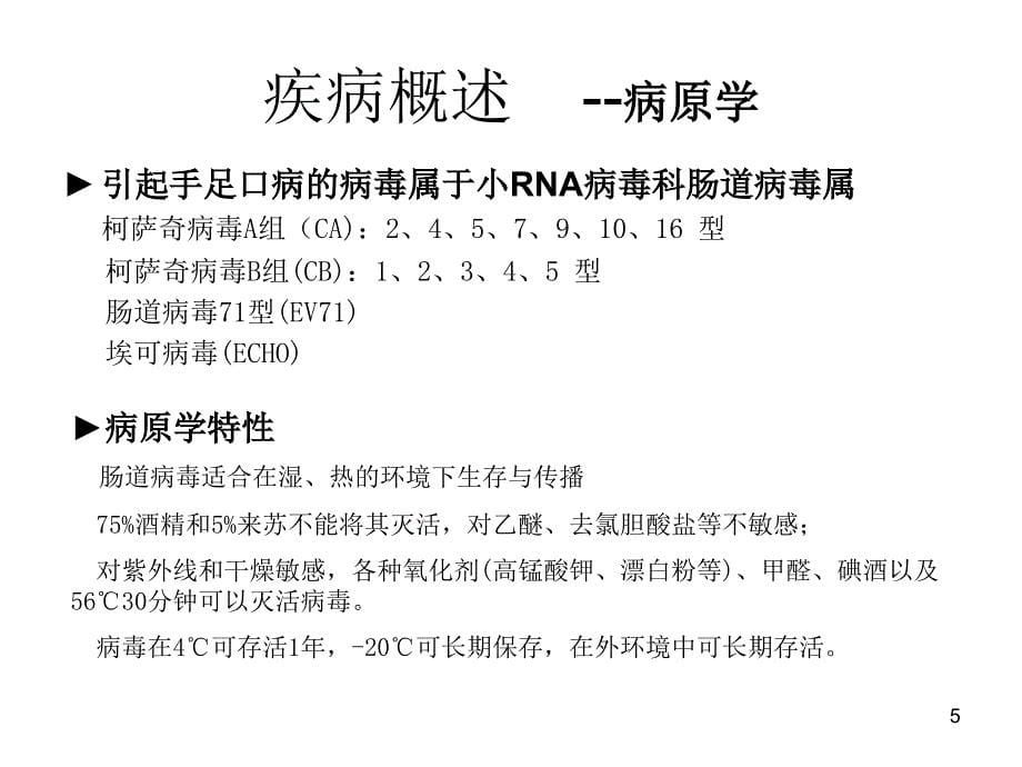 手足口病预防控制指南ppt课件_第5页